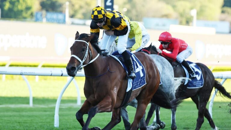 The Shorts 2025 Tips, Betting Results Racenet