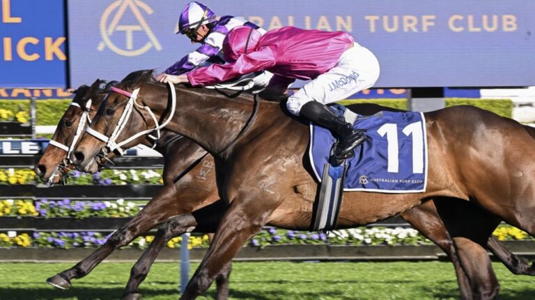 Stakes 2025 Tips, Betting Results Racenet