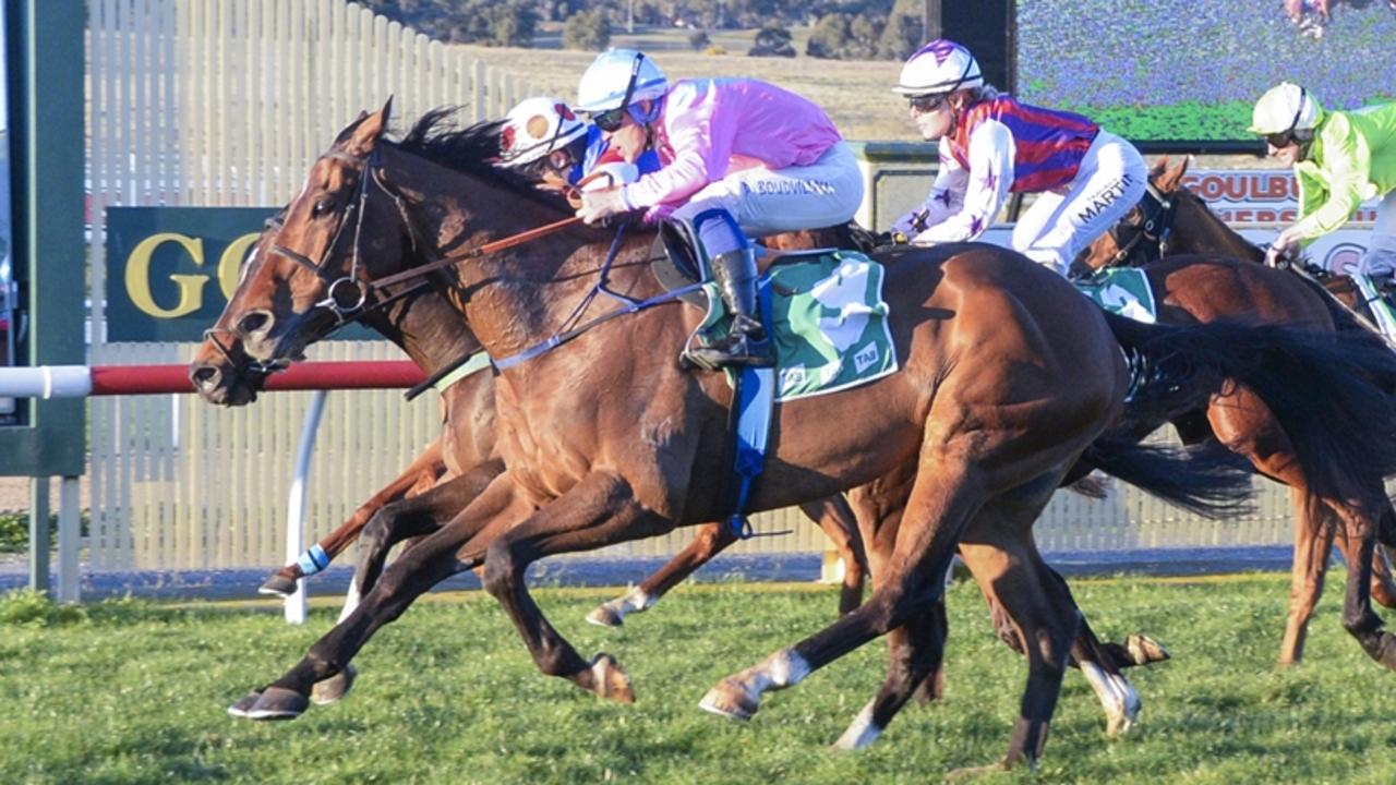 King Taurus (outside) is chasing back-to-back win at Goulburn. Picture: Bradley Photos