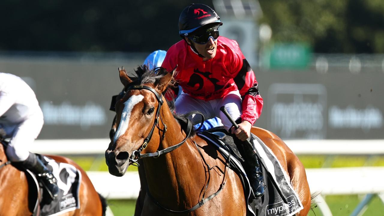 2025 Flight Stakes Field, Barriers, and Weights Announced for Randwick ...