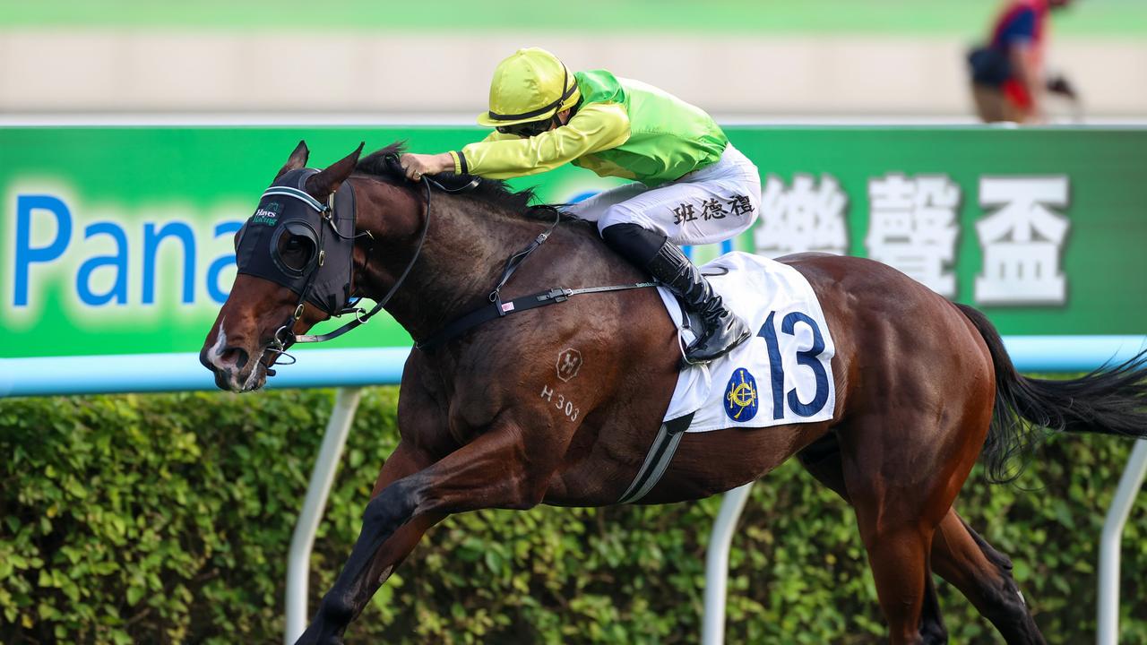 Tomodachi Kokoroe aims to extend rise