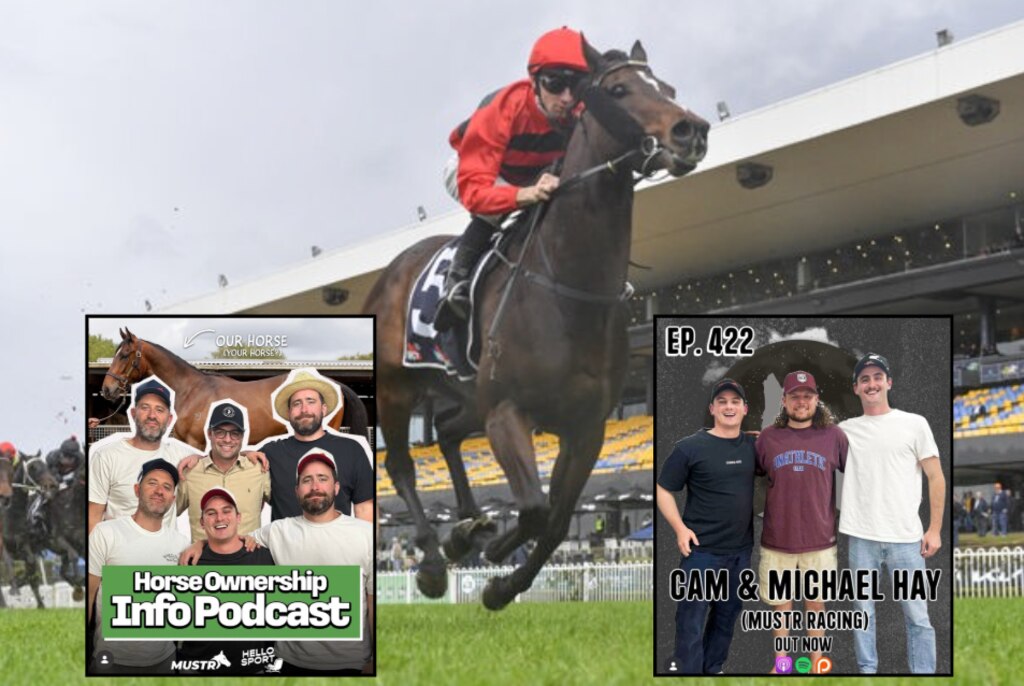 Cold Brew in action for the Hay Brothers and Alpha Blokes. Picture: Getty Images