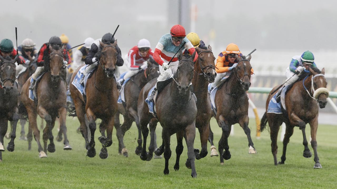 Australia even more dysfunctional than NZ - Thoroughbred Cafe ...