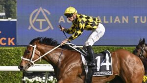 golden eagle dress code Why you need to add Golden Eagle Day to your racing carnival calendar