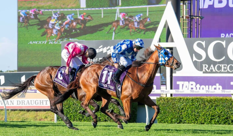 Perth Cup 2025 Betting, Form Guide Tips Punters