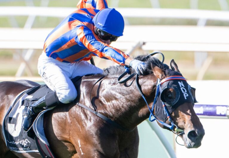 Thoroughbred Racing Televised Horse Racing Today Grand National