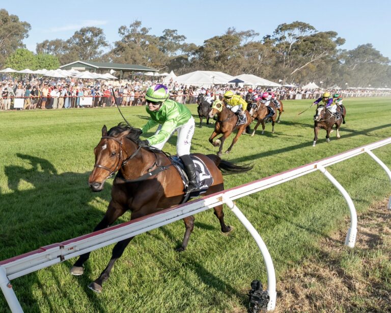 Gunbower Gold Cup 2025 Betting Tips Punters