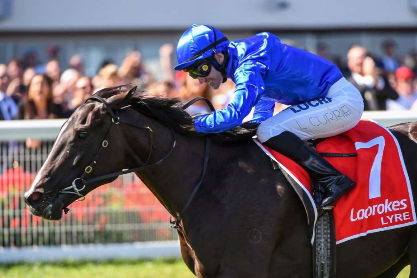 Lyre Racing Track G1-winning filly Lyre to return in the Quezette Stakes