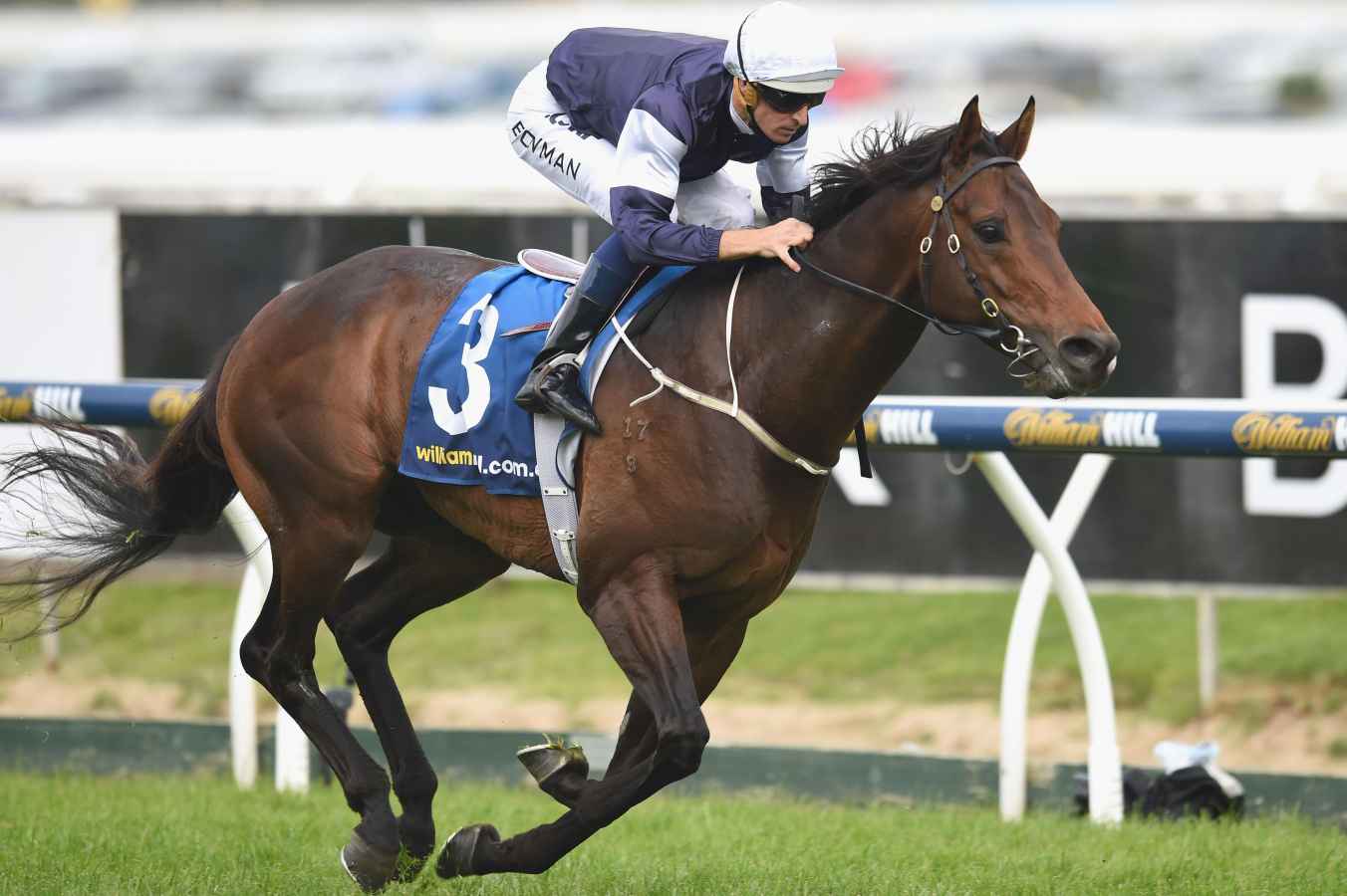 Swab costs Amralah Adelaide Listed victory