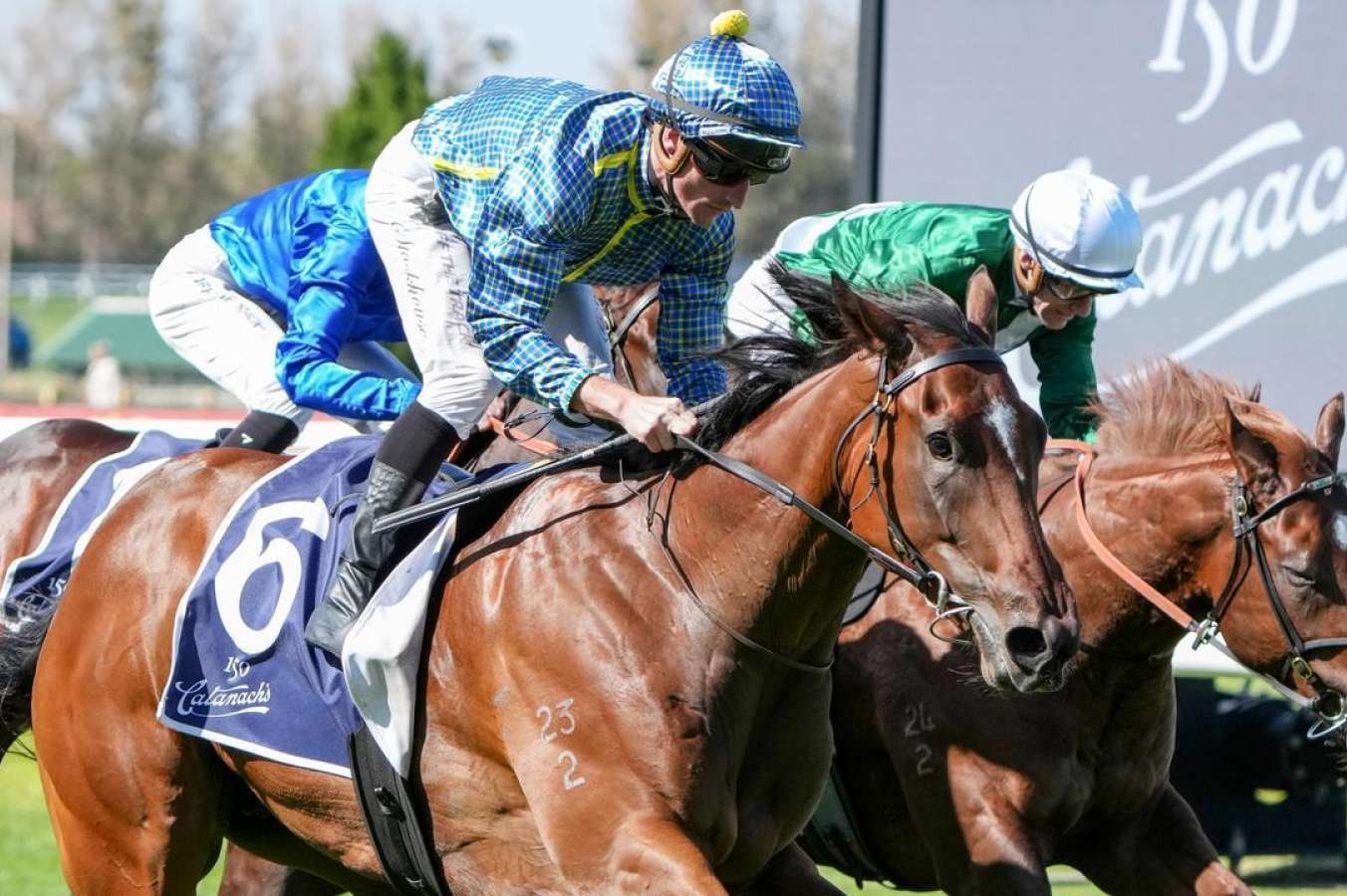 Spring Filly Lindsay Park has spring ambitions with unbeaten filly Scenic Point ...