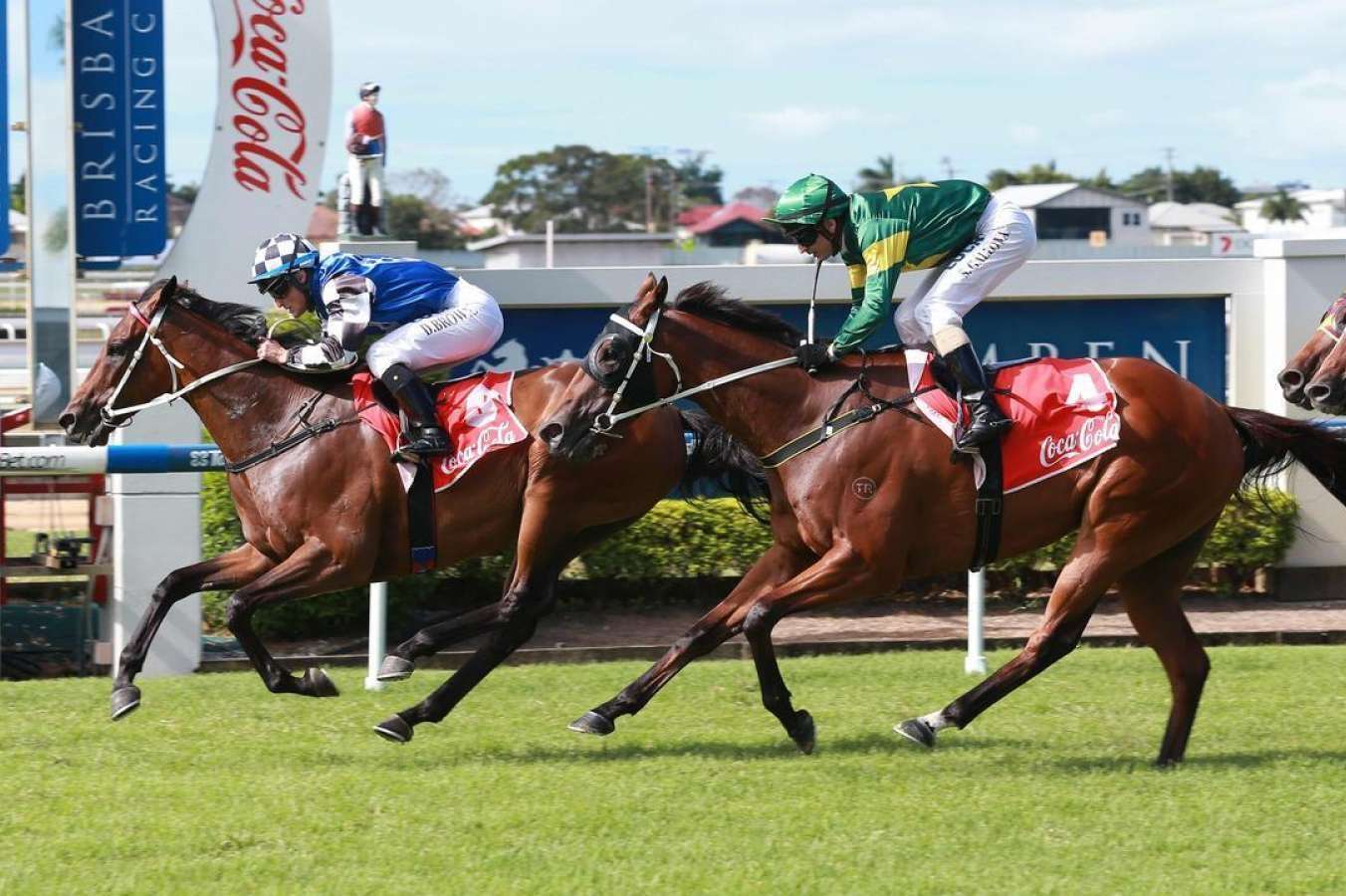 Regional Racing Qld Newly appointed Queensland Racing Integrity Commission deputy ...