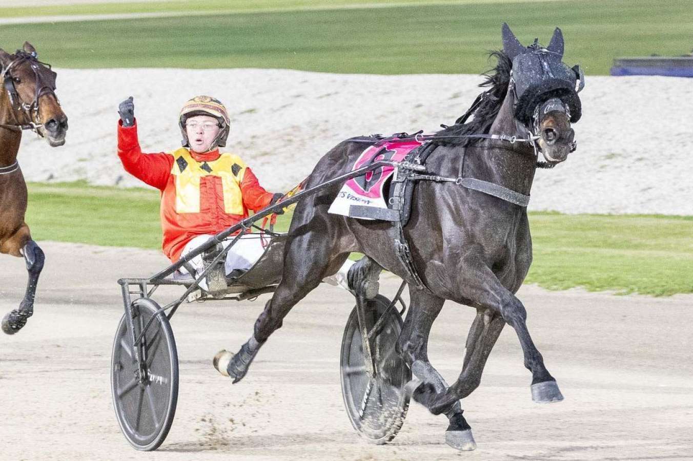 Lees a believer in untapped young trotter
