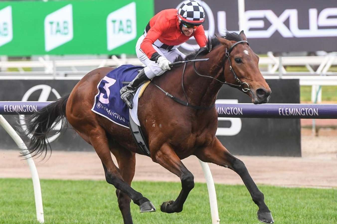 One-time Melbourne Cup favourite Schabau on comeback trail for new ...