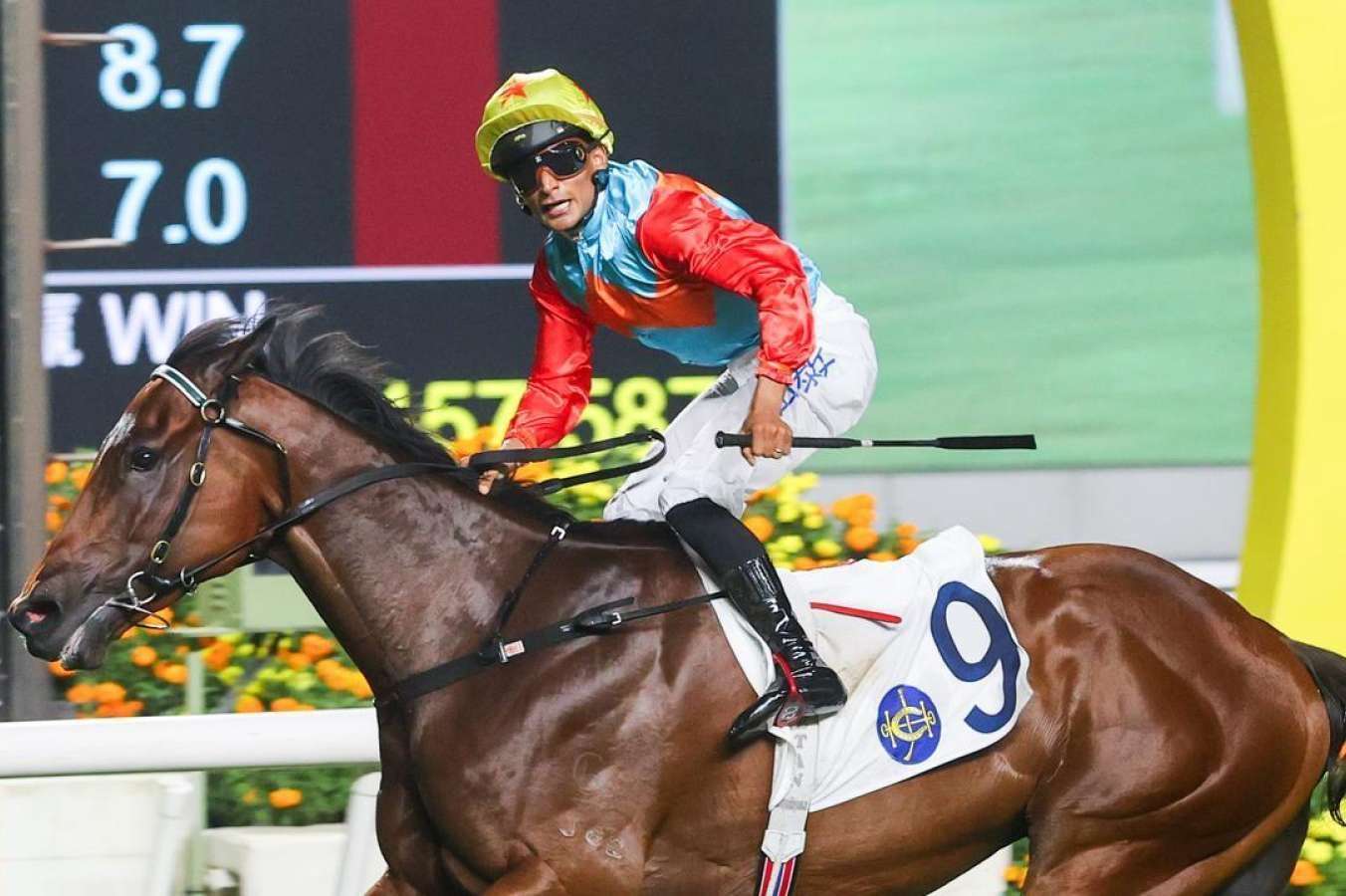 Kayin Rising Ka Ying Rising emerges as new Hong Kong sprinting star