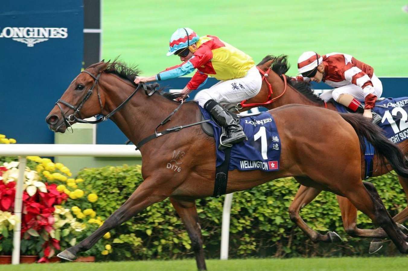 Wellington Races Wellington prepares for Centenary Sprint Cup challenge