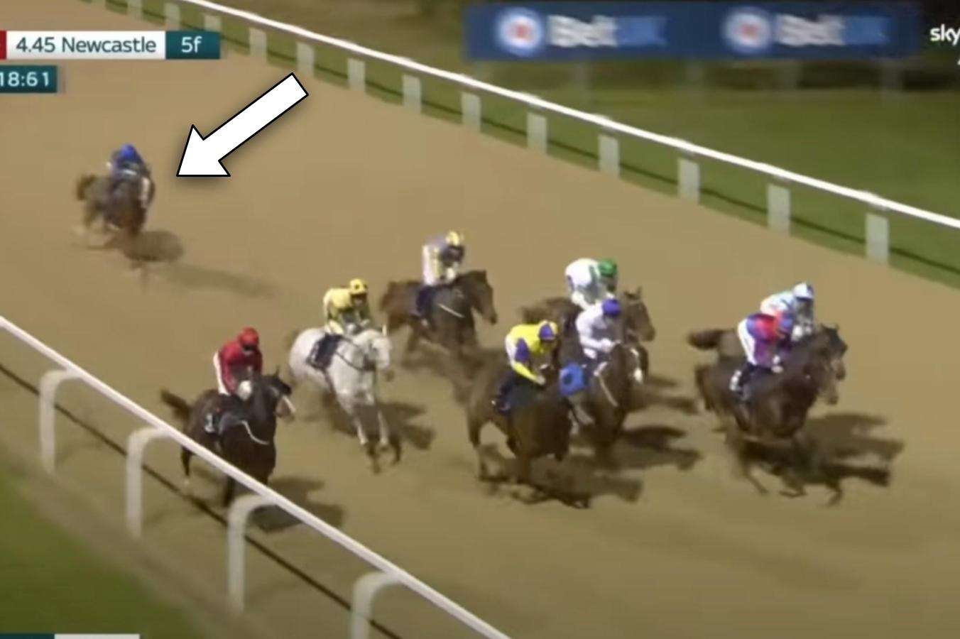 Things You Might Have Missed - November 14