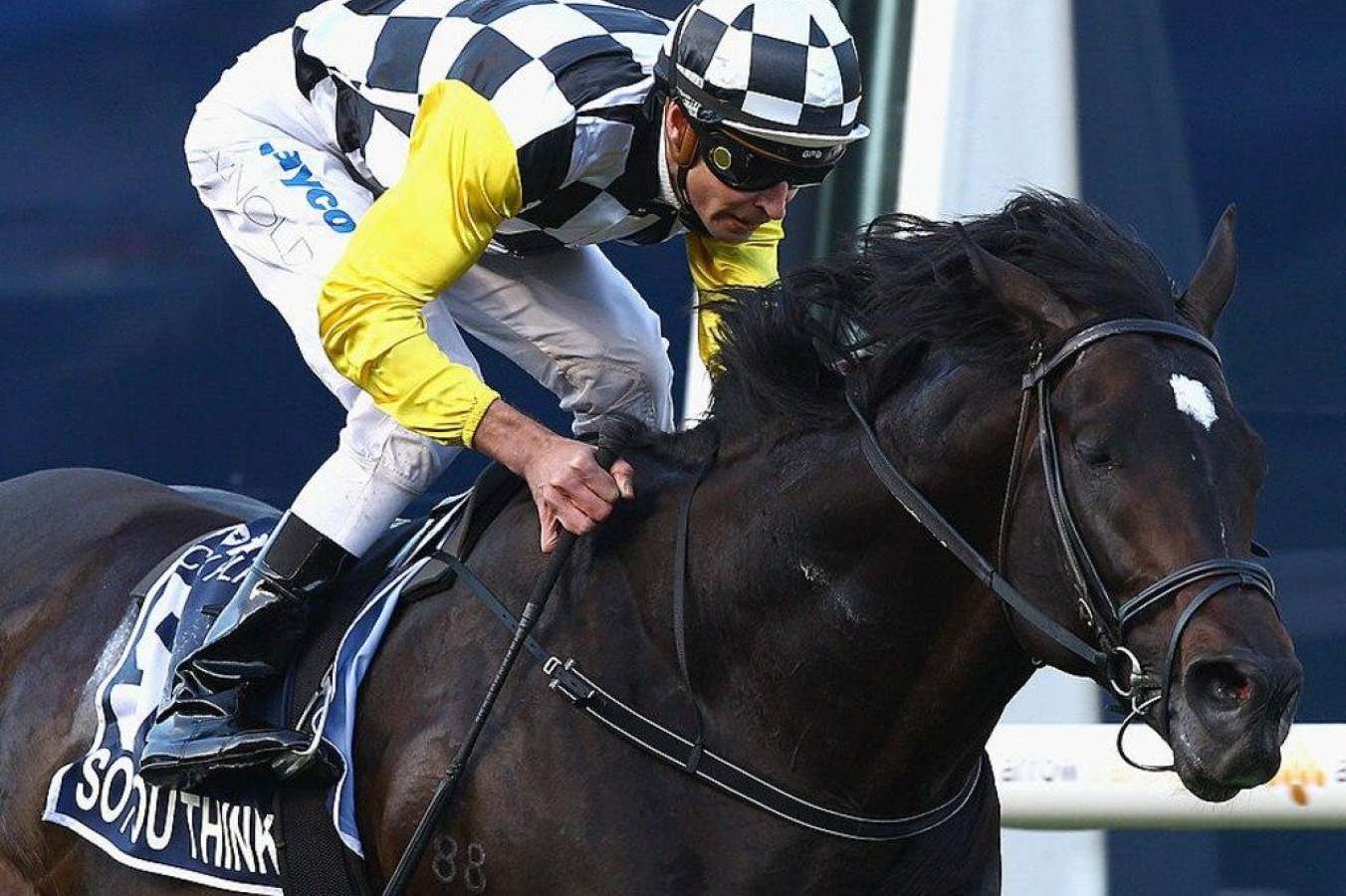 Cox Plate: Steven Arnold reflects on Cox Plate win with So You Think