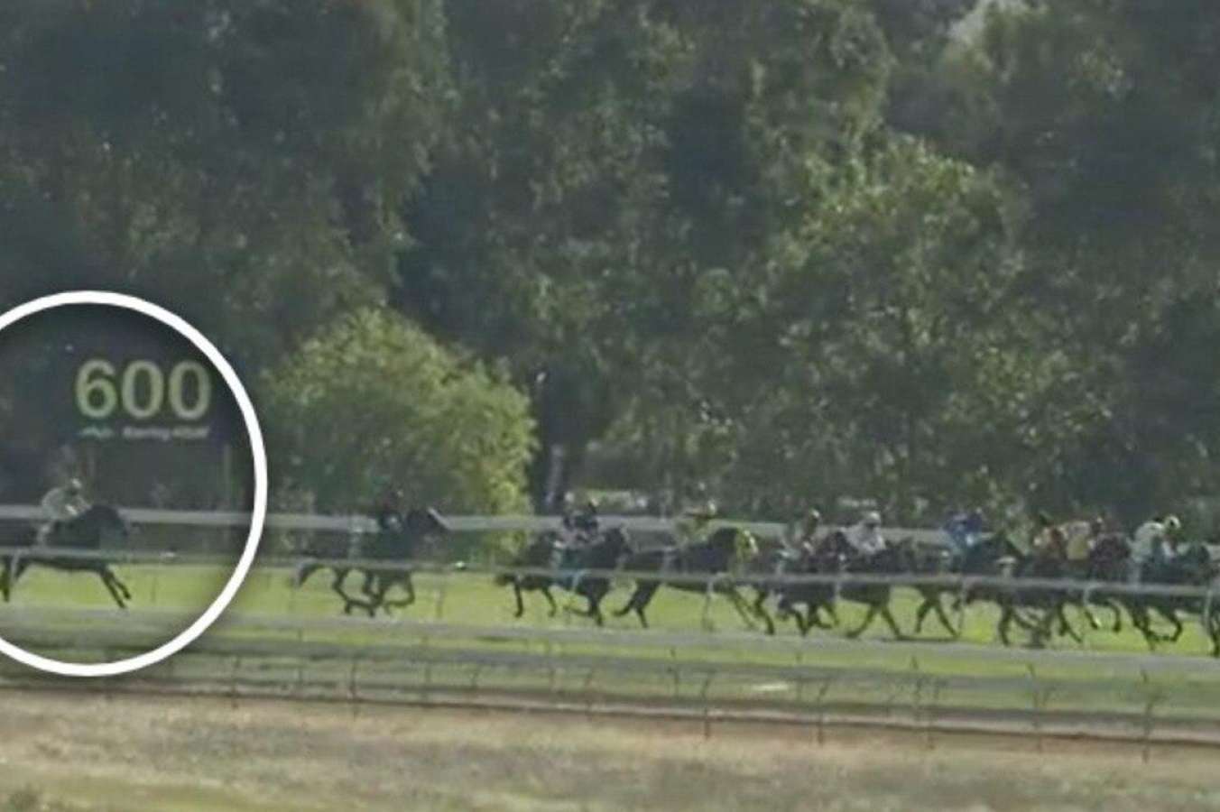 Racing NSW stewards open inquiry into losing ride on $1.55 favourite