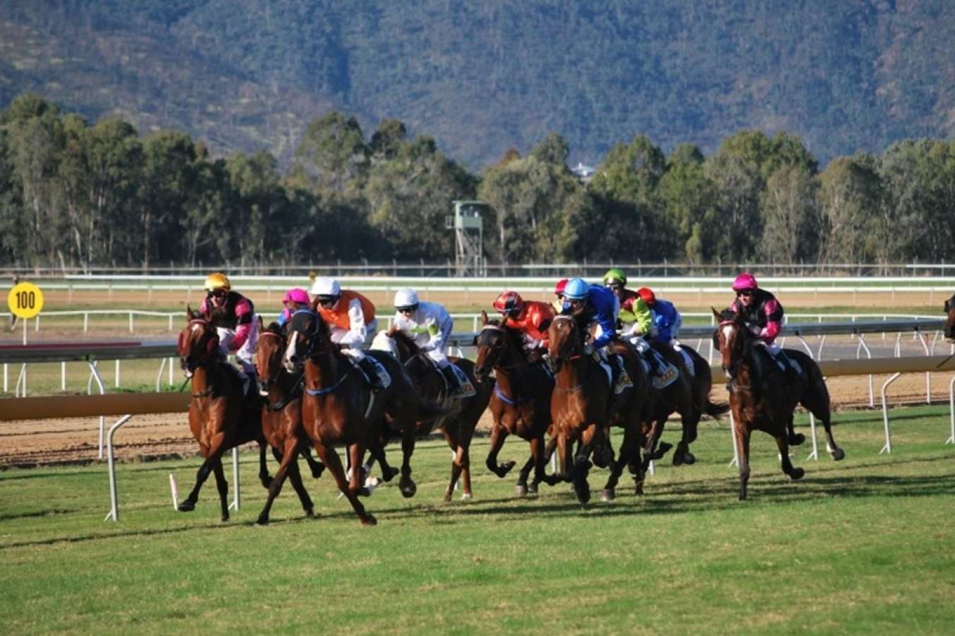 Bogey Man aiming for back-to-back wins at Rockhampton