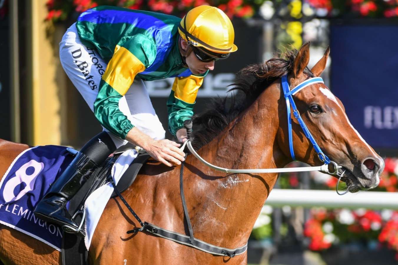 TAB Classic: Peter Chow going for Group 1 glory with Pauls Regret