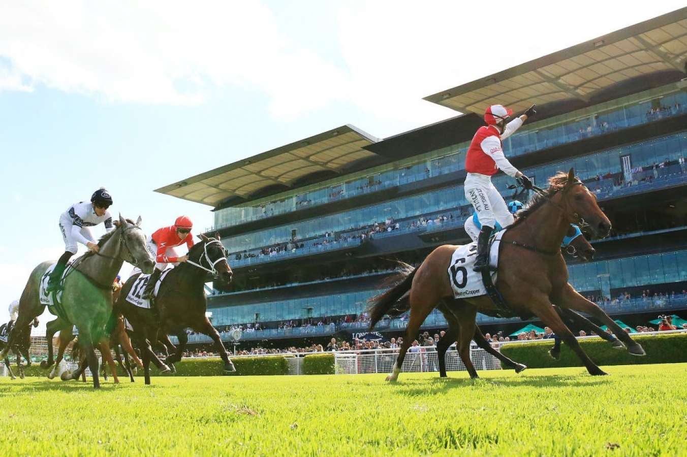 Randwick preview and tips: All Aged Stakes day