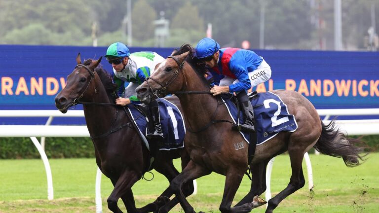 Relatively rare star sighting: Zoustar filly to debut in Japan