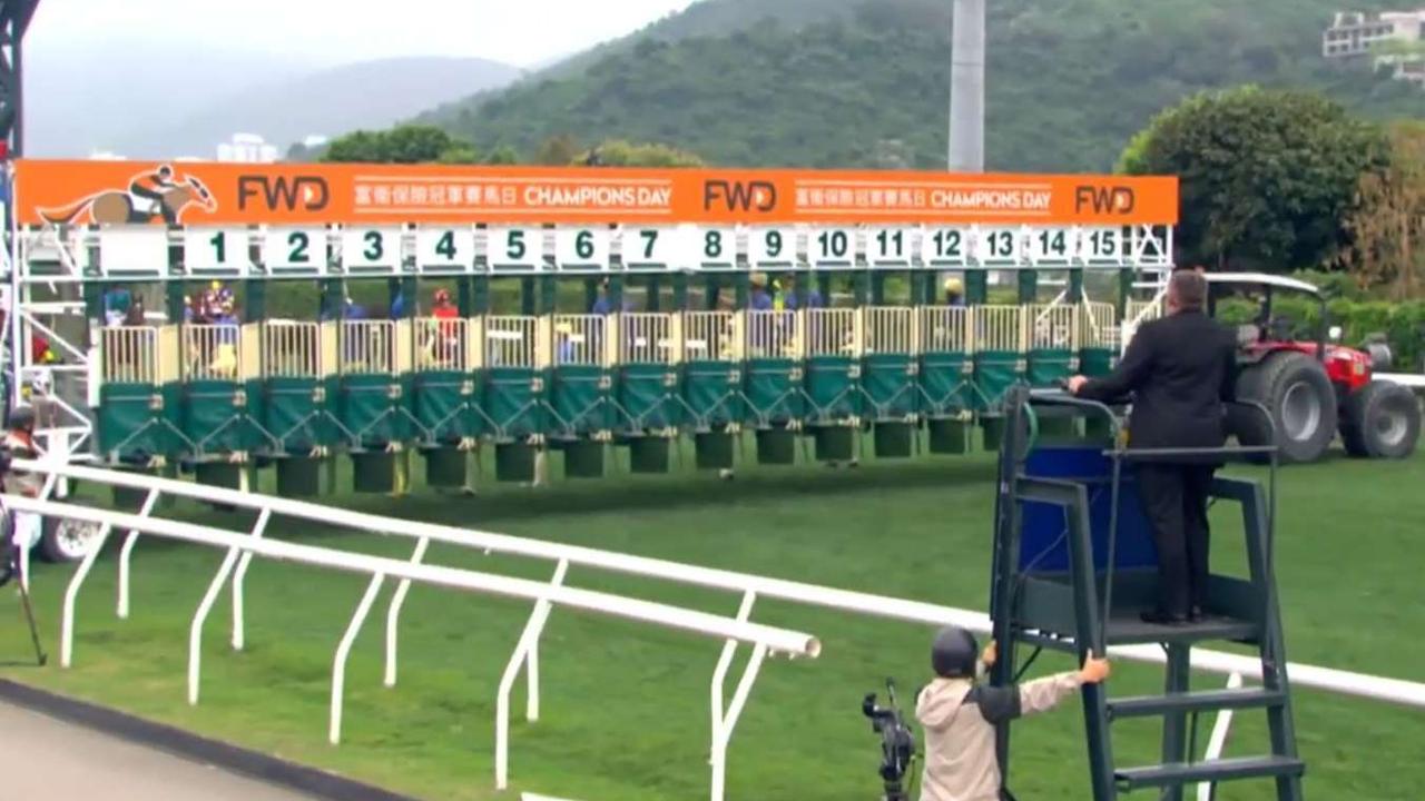 Sha Tin presenter selections: Tips, best bets & longshots