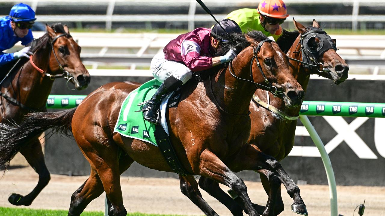 Punters' best bets multi paying $196