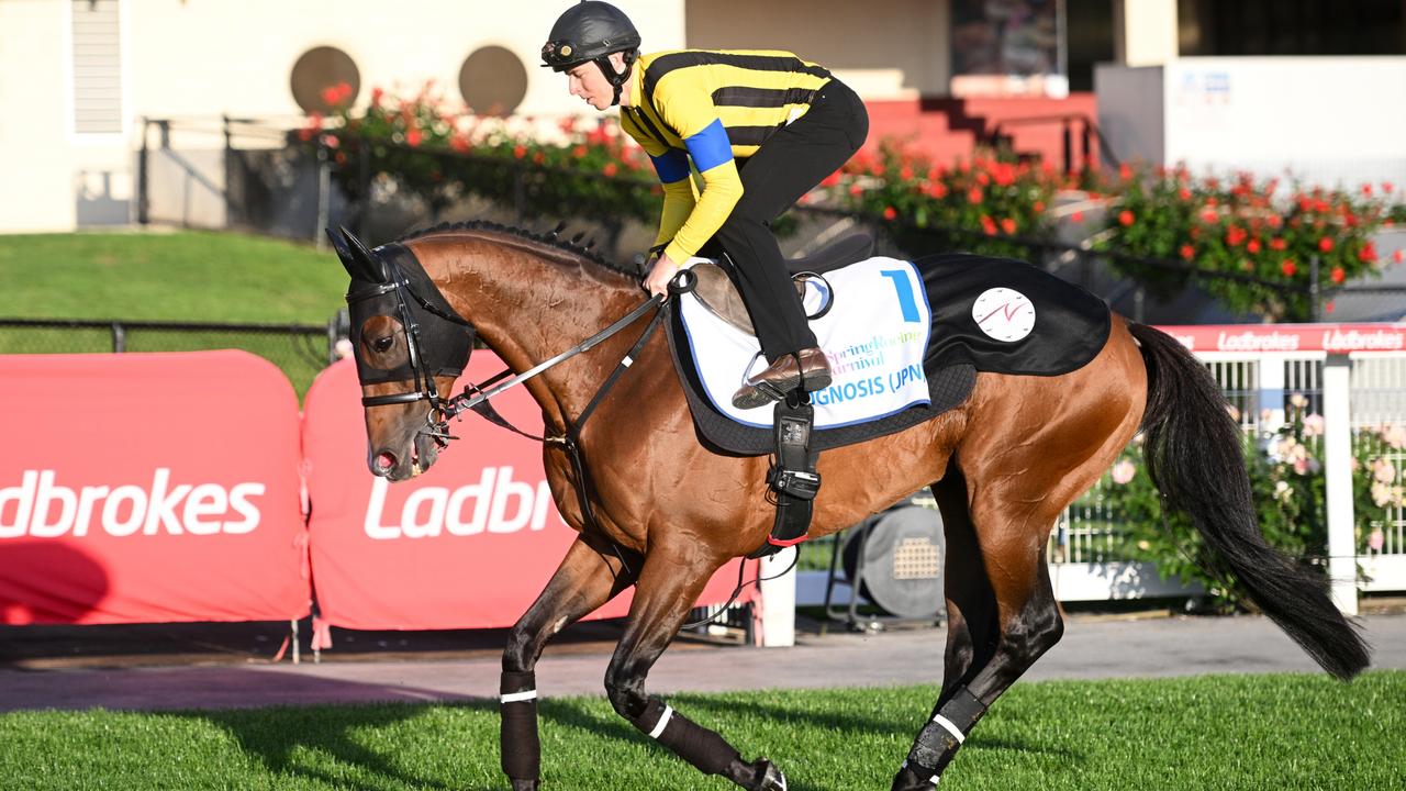 Prognosis's Racing Career Ends: Cox Plate Star Retires to Stud After Injury