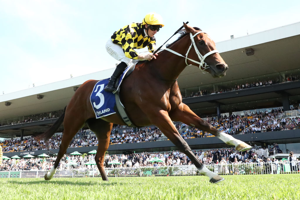 Tips and race-by-race preview for Run To The Rose day at Rosehill