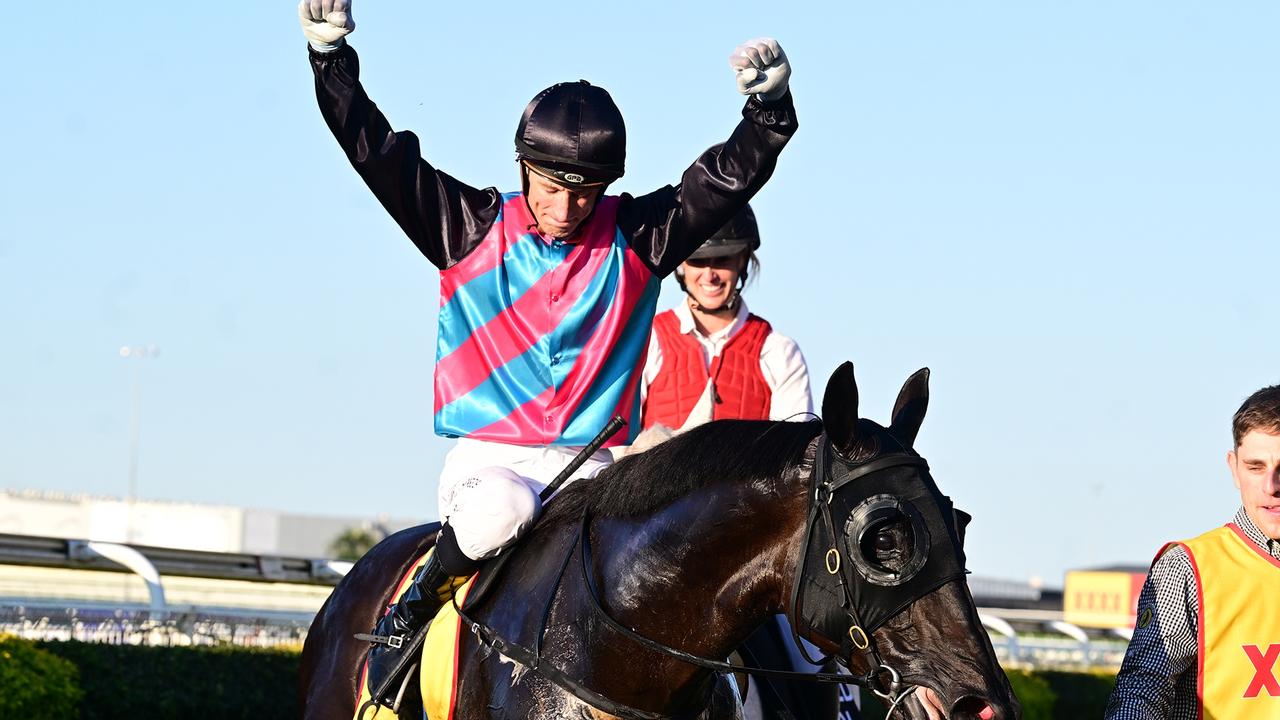 2024/25 Queensland horse of the year: Antino in box seat