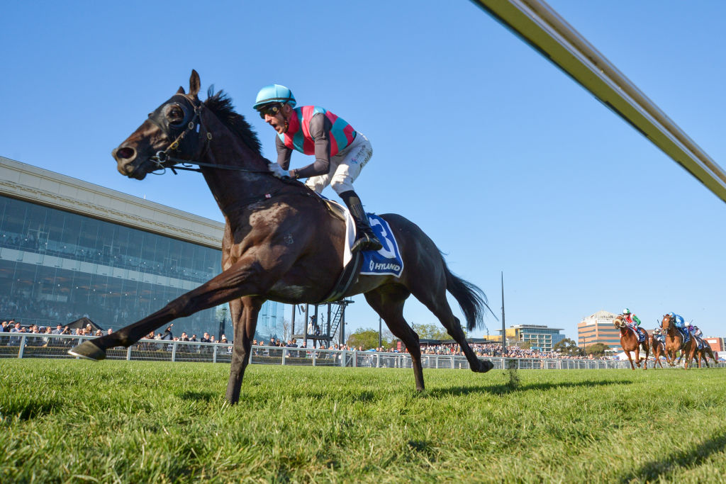 Toorak Handicap Odds - 2025 - Punters