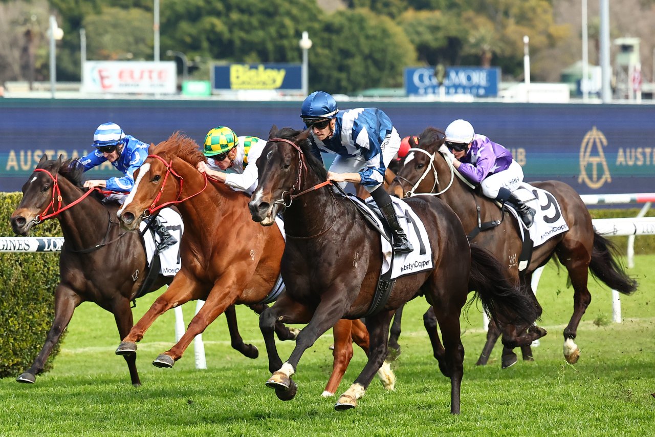 Multiple Group 1 placegetter retired after failed stable switch