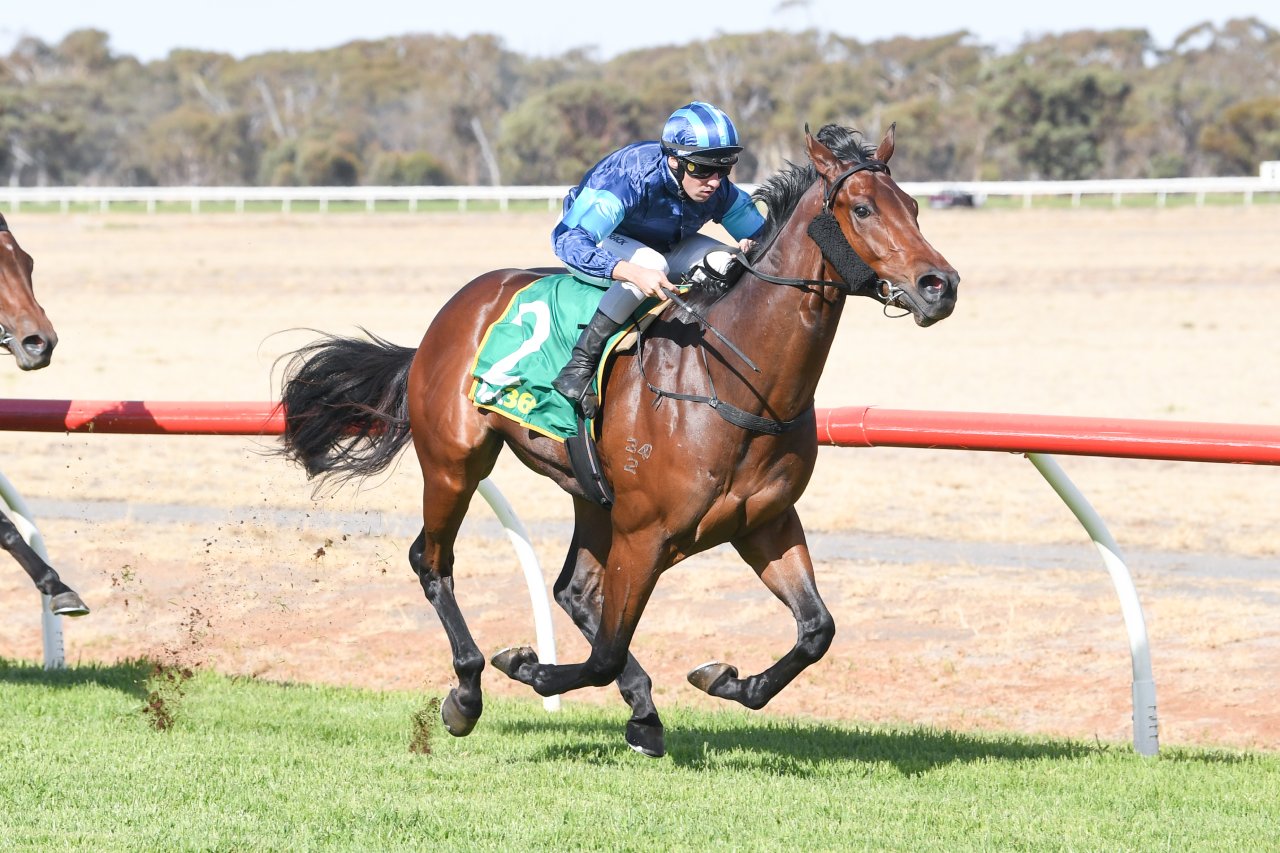 Mornington preview and tips: $5 best bet