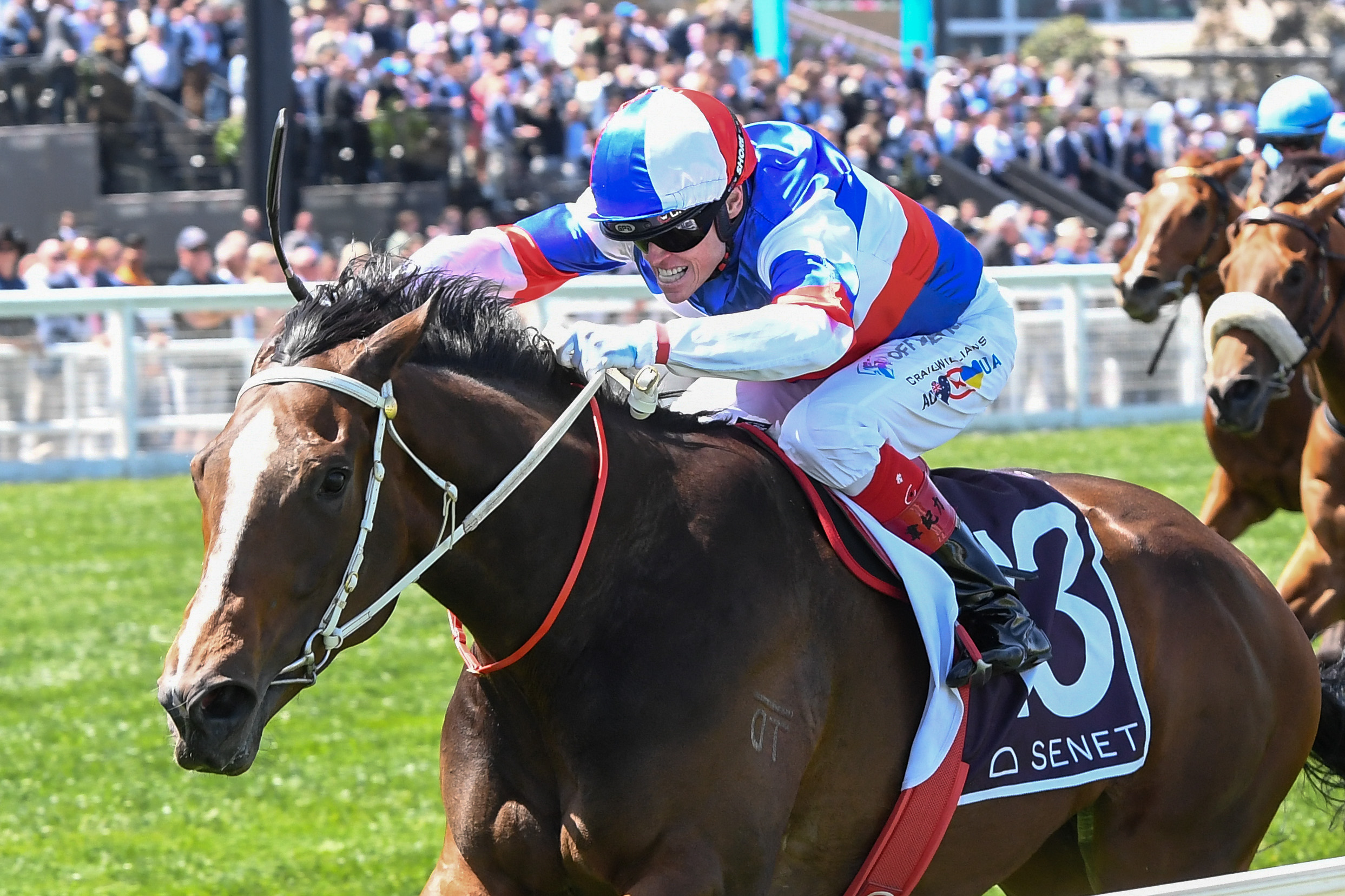 Boxing Day best bets for Sandown Lakeside: $17 roughie