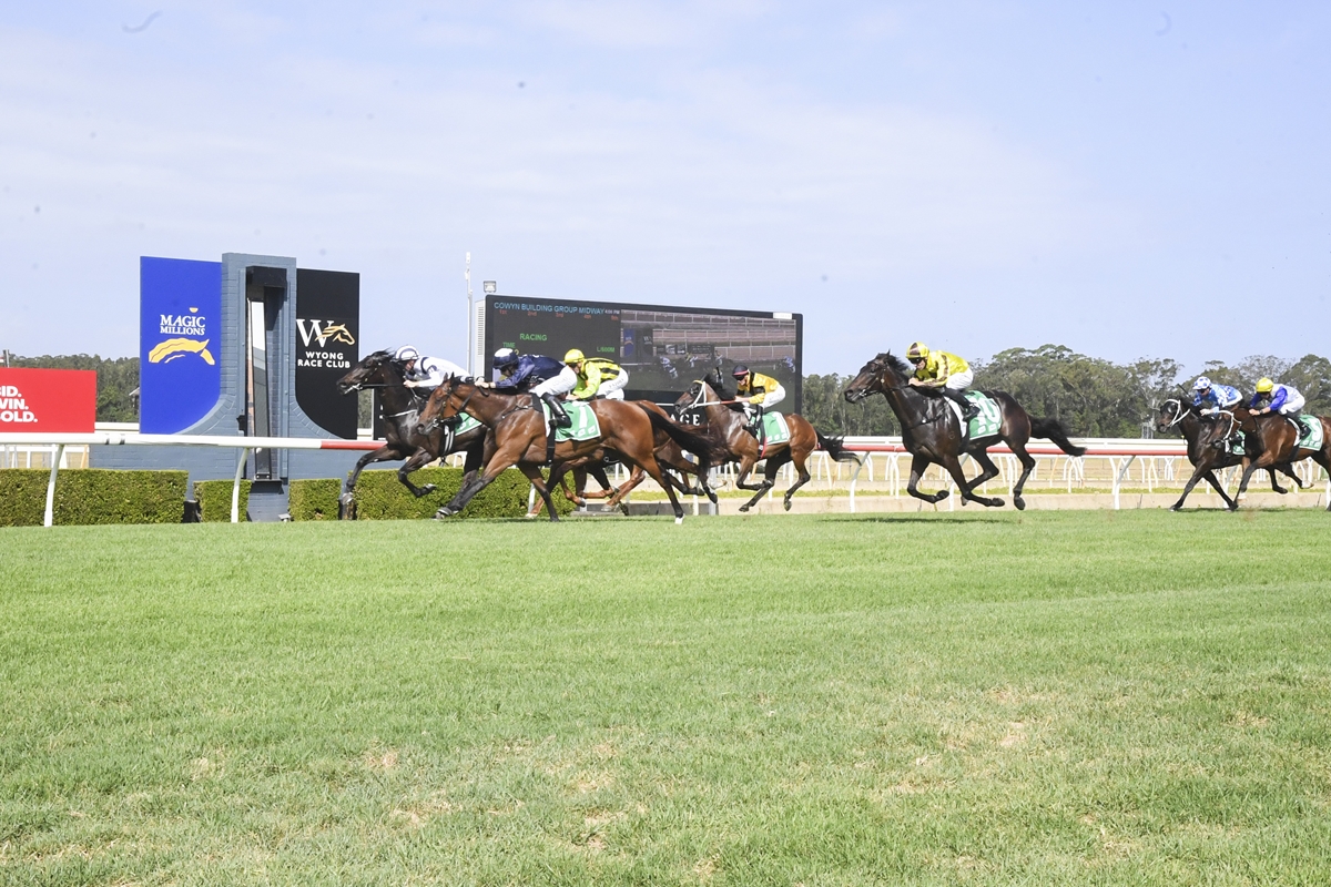 Wyong preview and tips [Saturday, January 10]