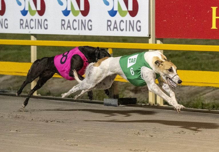 LEGEND conditioner Northern Rivers-based Reg Gardoll still shakes his head in memory of that lightning speed … Express pace if ever there was.