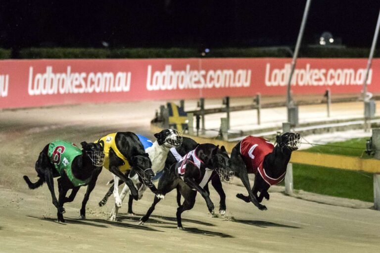 Preferred Box Draws To Be Introduced In NSW