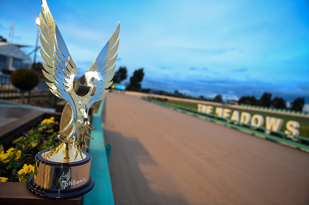 The Phoenix Is Back In 2023 - Greyhound Recorder