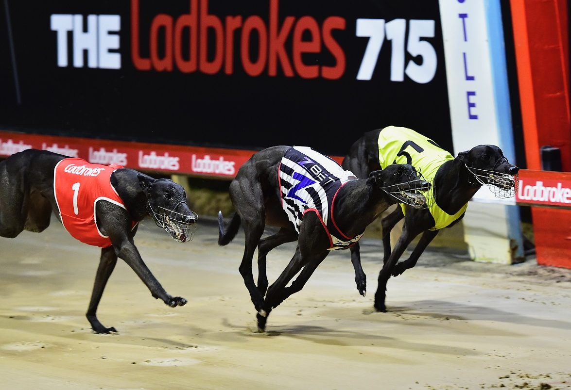 SUPERSTAR stayer Zipping Orlando makes a return to the racetrack at Richmond on Friday night after a long 15-month absence.