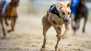 online casino australia quick cashout