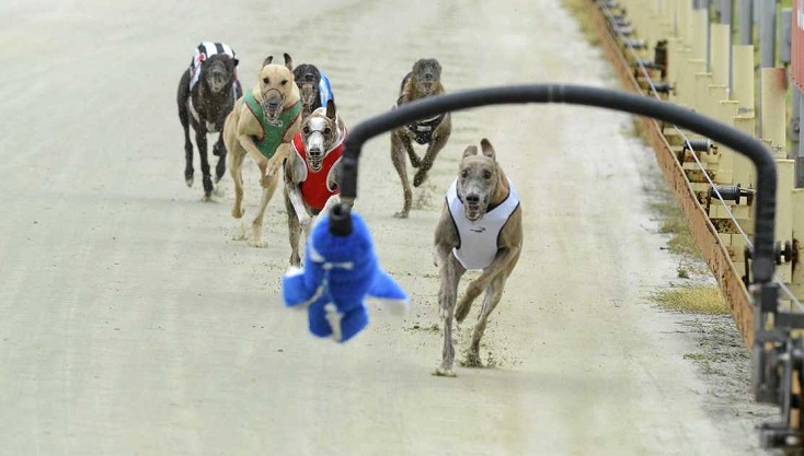 News Article: Record In Reach For Jack Jack In Maiden Classic?