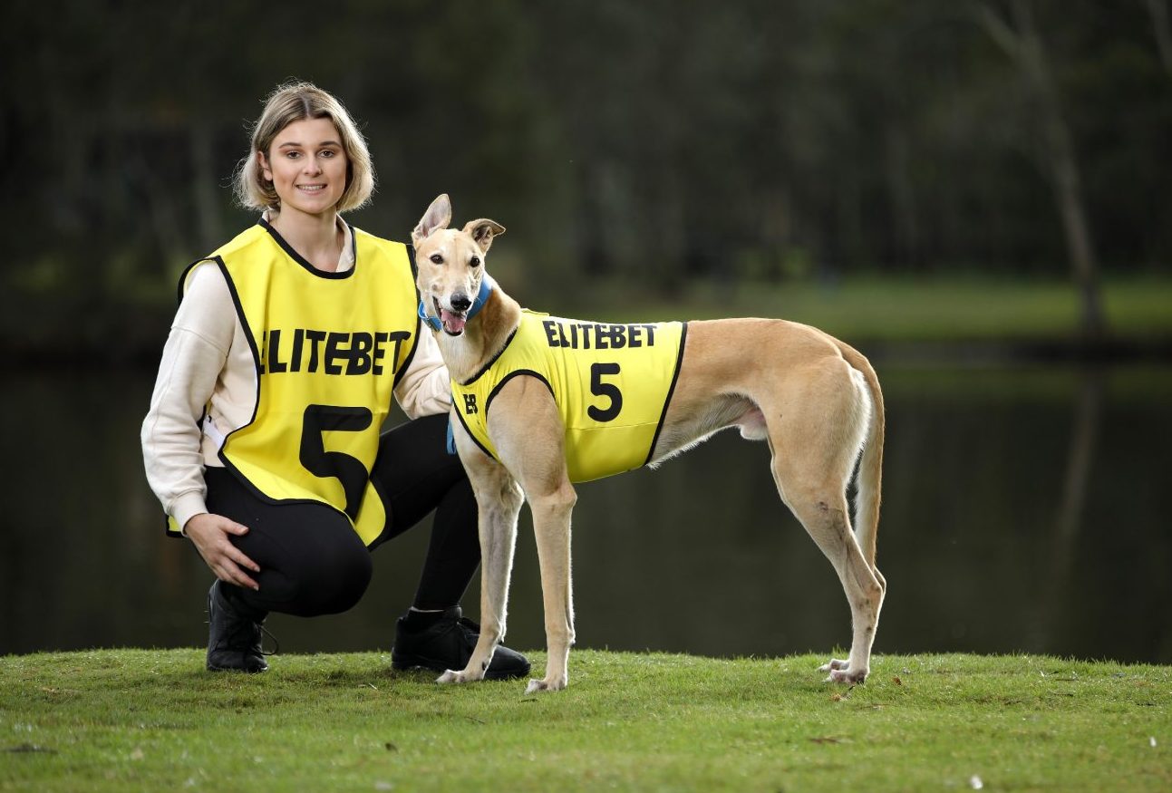 EliteBet Platform Interface