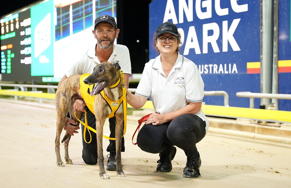 Record Seven Winners For Rasmussen At Angle Park - Greyhound Recorder