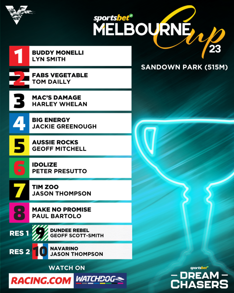 Big Energy Storms To Melbourne Cup Favouritism Greyhound Recorder