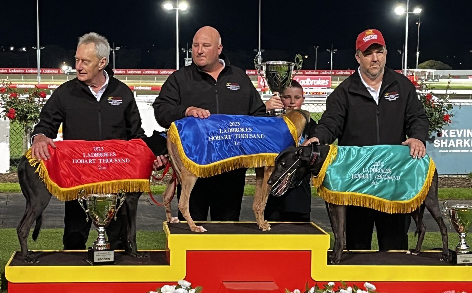 Crackerjack Bull Bursts To Victory In Hobart Thousand Greyhound Recorder