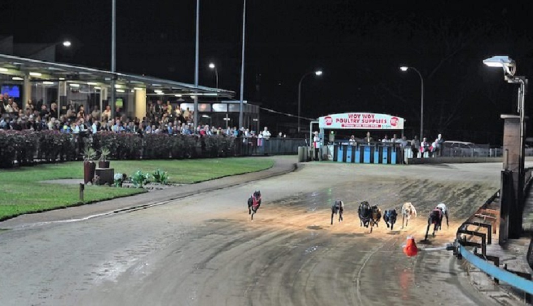 A group of eagle-eyed punters were in the right place at the right time in the countdown to race four at Gosford greyhounds on Tuesday.