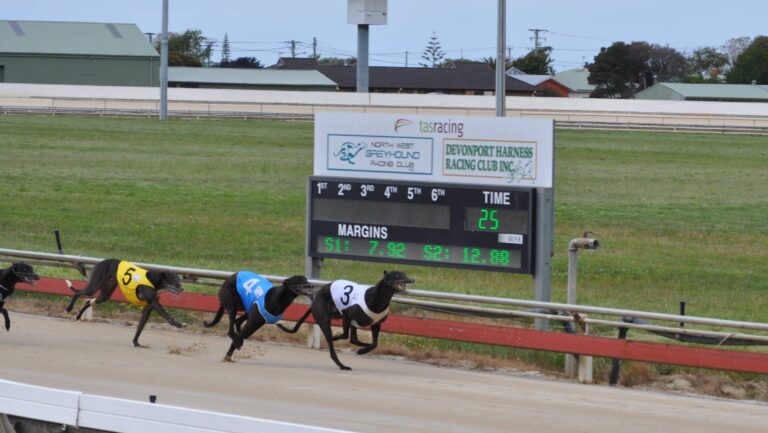 News Article: Report: Tasmania To Ban Greyhounds From 2029