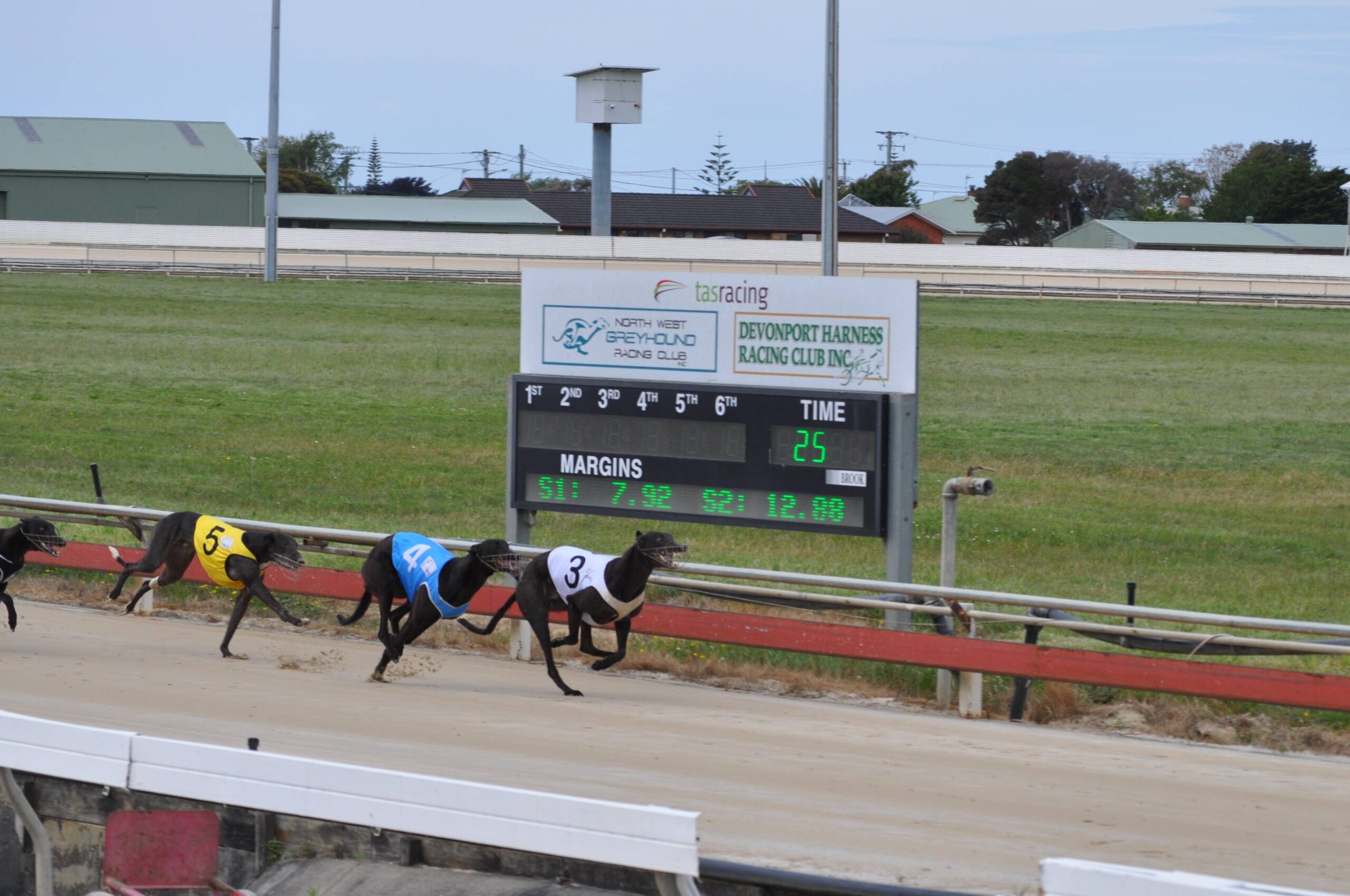 HOPES of a new state-of-the-art greyhound and harness facility being brought to life in the north-west of Tasmania have been dashed.