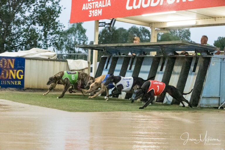 News Article: Greyhound Recorder Best Bets & Quadrellas for Saturday Night